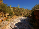 photo thumbnail #2