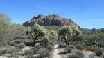 photo thumbnail #4