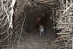 photo thumbnail #7