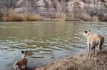 photo thumbnail #13