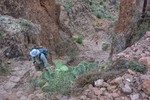 photo thumbnail #1