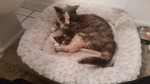 photo thumbnail #1