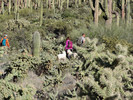photo thumbnail #9