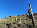 photo thumbnail #10