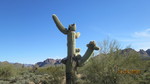 photo thumbnail #6