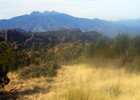 photo thumbnail #4