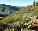 photo thumbnail #9