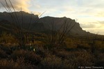 photo thumbnail #5