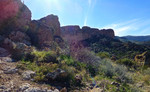 2016-01-25 :1: Black Top Mesa :: FLYING_FLIVER