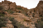 photo thumbnail #11