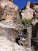 photo thumbnail #2