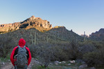 photo thumbnail #2