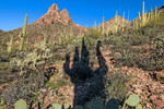 photo thumbnail #7