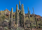 photo thumbnail #8