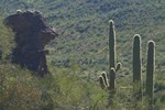 photo thumbnail #8