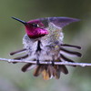 photo thumbnail #2