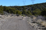 photo thumbnail #2