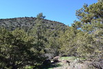 photo thumbnail #9