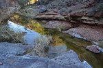 photo thumbnail #12
