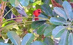 photo thumbnail #2