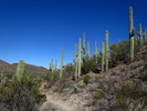 photo thumbnail #3