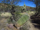 photo thumbnail #5