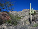 photo thumbnail #6