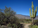 photo thumbnail #8