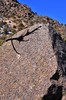 photo thumbnail #7