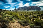 photo thumbnail #2