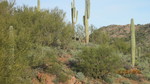 photo thumbnail #3