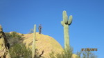 photo thumbnail #7