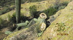 photo thumbnail #9