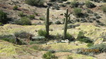 photo thumbnail #10