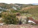 photo thumbnail #15