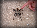 photo thumbnail #3