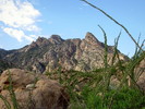 photo thumbnail #4