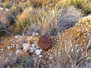 photo thumbnail #7