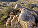 photo thumbnail #8