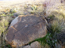 photo thumbnail #10