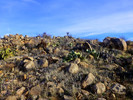 photo thumbnail #12