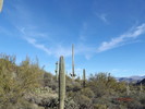 photo thumbnail #14