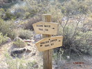 photo thumbnail #15