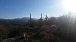 photo thumbnail #1