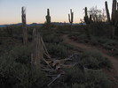 photo thumbnail #2
