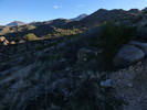 photo thumbnail #1