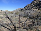 photo thumbnail #2