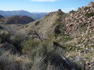 photo thumbnail #8