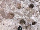 photo thumbnail #11