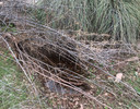 photo thumbnail #12